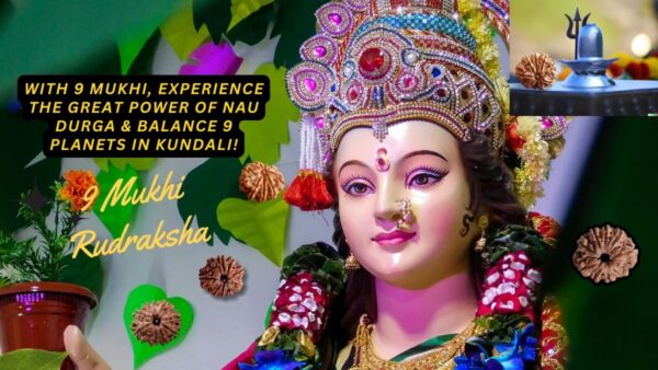 9 Mukhi Rudraksha; Benefits, Power, Mantra