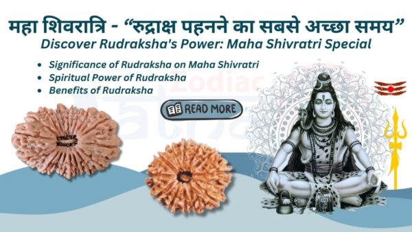 Importance Of Rudraksha On Maha Shivratri