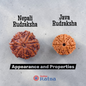 7 Mukhi Rudraksha Benefits (Saat Mukhi Rudraksha Ke Fayde)