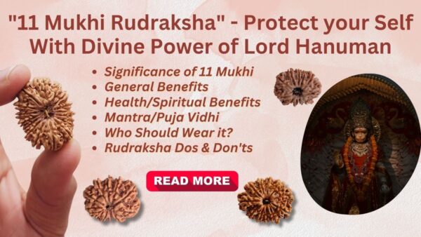 11 Mukhi Rudraksha – Bless With Lord Hanuman