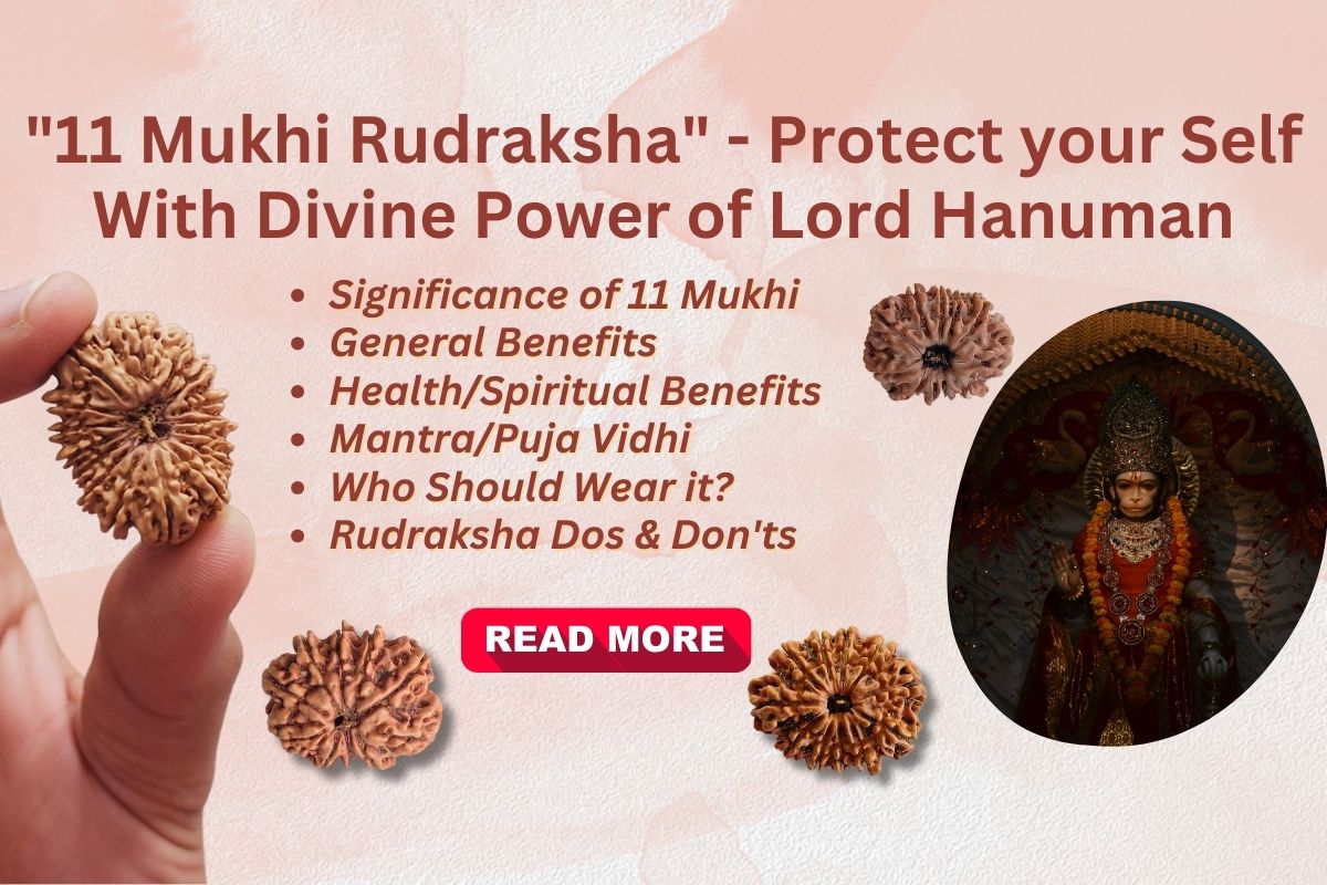 11 Mukhi Rudraksha – Bless With Lord Hanuman