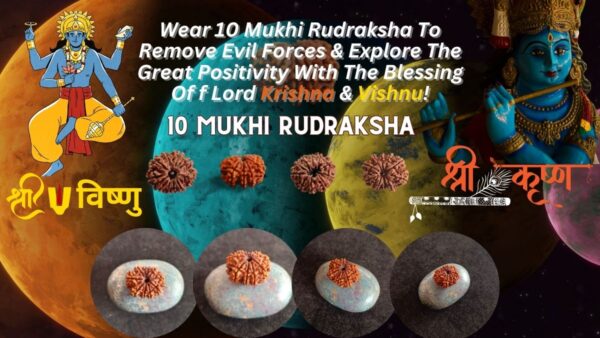 The Power of the 10 Mukhi Rudraksha and Krishna Janmashtami's Spiritual Importance