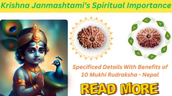 The Power of the 10 Mukhi Rudraksha and Krishna Janmashtami’s Spiritual Importance