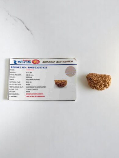 1 Mukhi Half-Moon Rudraksha-Collector With Lab Certificate