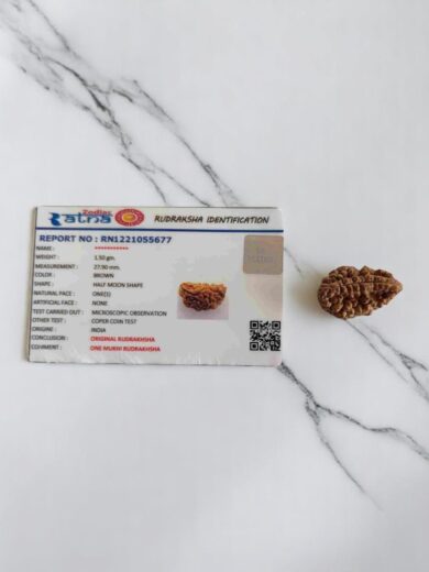 1 Mukhi Half-Moon Rudraksha-Large
