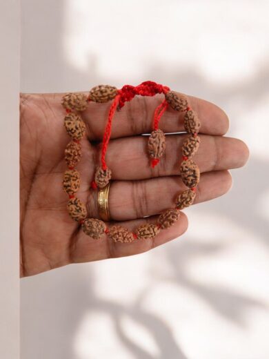 2-Mukhi-Rudraksha-Bracelet