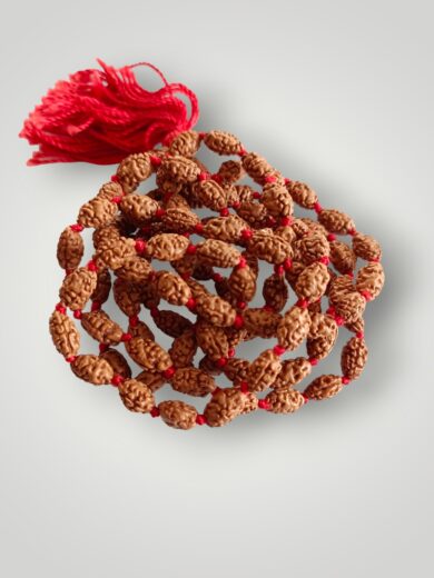 2 Mukhi Rudraksha Mala