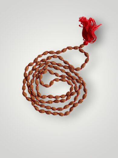 2 Mukhi Rudraksha Mala