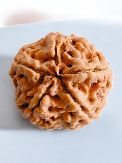5-Mukhi-Nepali-Rudraksha-Regular