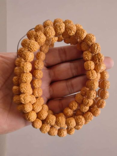 5 Mukhi Rudraksha Chikna Beads Mala