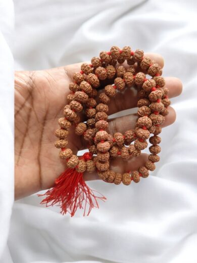 6-Mukhi-Rudraksha-Mala