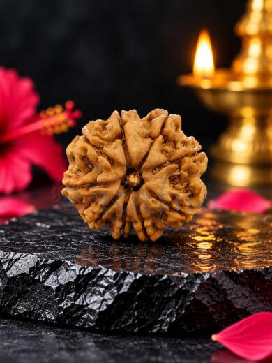 9 Mukhi Nepali Rudraksha Collector Size – Natural Rudraksha Bead with Clear Mukhi Lines