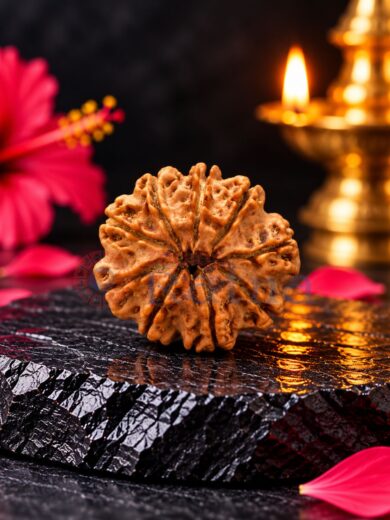 9 Mukhi Nepali Rudraksha Collector Size – Premium Natural Bead with Clear Mukhi Lines