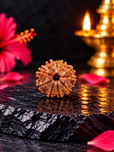 9 Mukhi Nepali Rudraksha Regular Size – Natural Bead with Clear Mukhi Lines