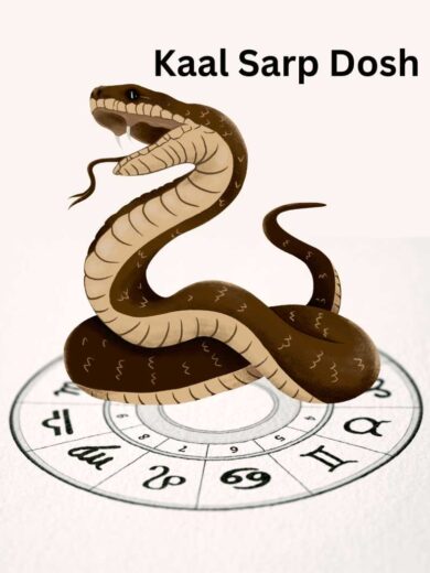 Kaal Sarp Dosh Puja