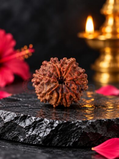 Large 9 Mukhi Nepali Rudraksha front back and side views showing natural mukhi lines (1)