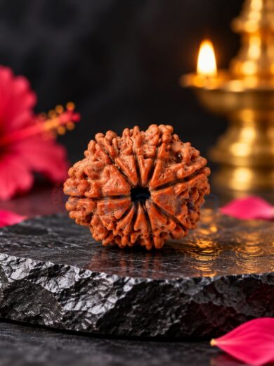 Large 9 Mukhi Nepali Rudraksha – Front, Back & Side Views with Natural Mukhi Lines