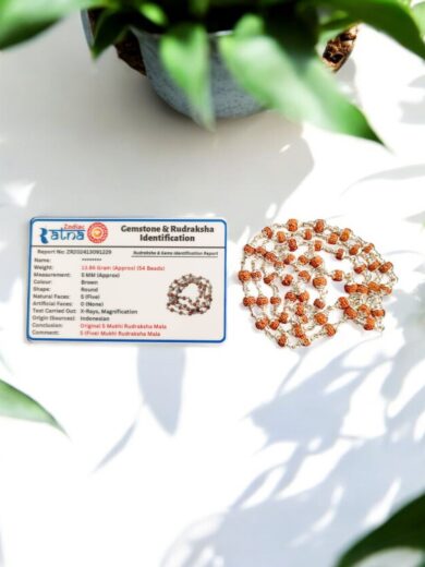 5-MM-54-Beads-5-Mukhi-Rudraksha-Silver-Mala