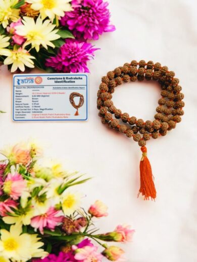 5 Mukhi Rudraksha Pathri Mala 8 MM