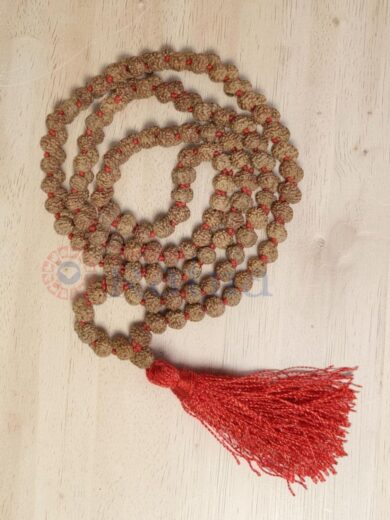 Medium size 6 MM Rudraksha mala for balanced daily wear and Japa