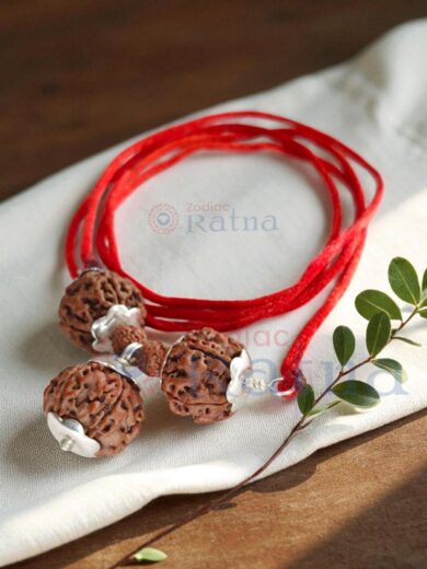 Education Rudraksha Kavach with 4 Mukhi, 5 Mukhi, 6 Mukhi beads