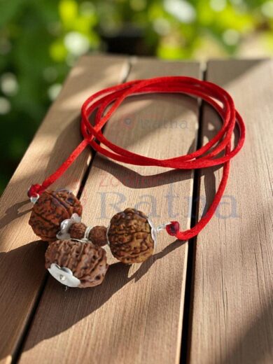 7 Mukhi 13 Mukhi Rudraksha Kavach for wealth