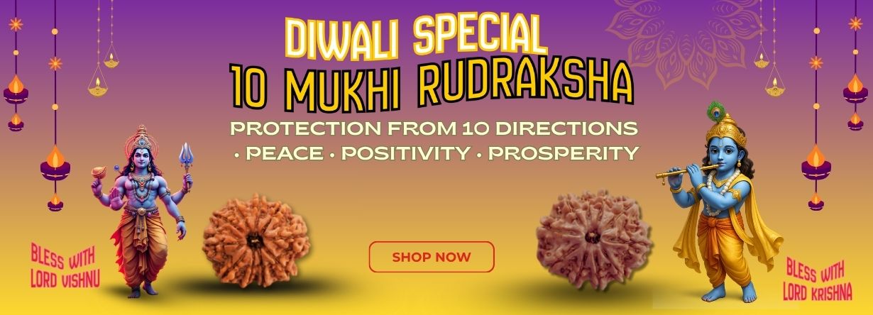 10 Mukhi Nepali Rudraksha At Special Price Diwali Promotions
