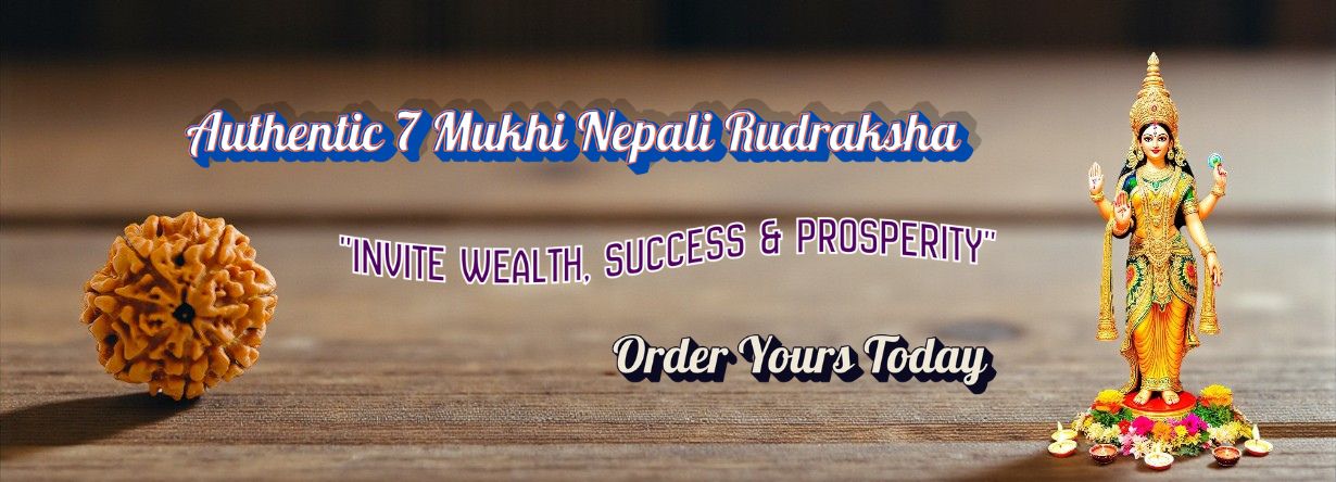 Invite Wealth, Success & Prosperity with 7 Mukhi Nepali Rudraksha