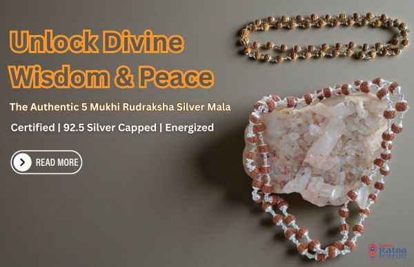 Authentic 5 Mukhi Rudraksha Silver Mala with 925 silver capping and premium natural beads from ZodiacRatna.