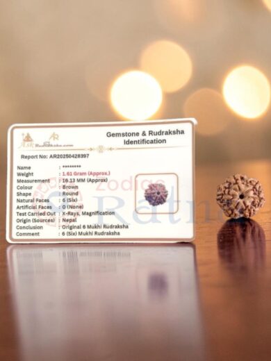 Authentic 6 Mukhi Nepali Rudraksha with gemstone and Rudraksha identification certificate