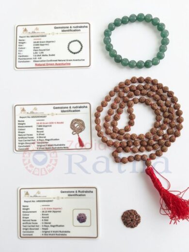 Career Success Kit featuring Authentic 6 Mukhi Nepali Rudraksha, Natural Yellow Citrine Bracelet and Premium 5 Mukhi Rudraksha Mala with identification cards