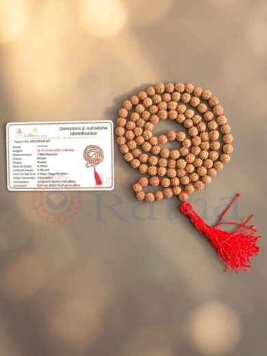 Premium 5 Mukhi Rudraksha Mala with gemstone identification certificate