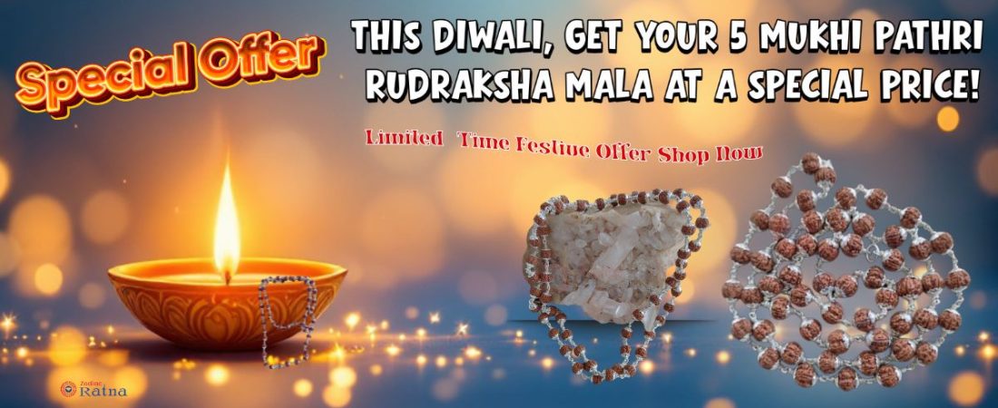 Daily Wear Rudraksha Silver Mala